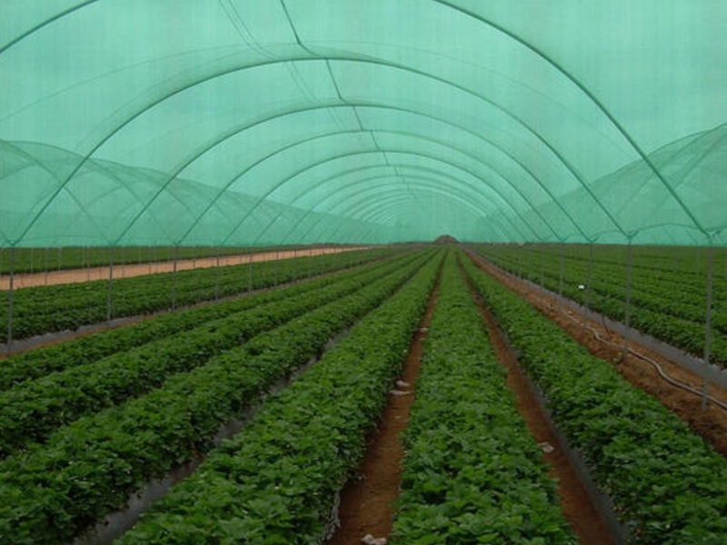 Polietilen Sera Filesi - PE HDPE